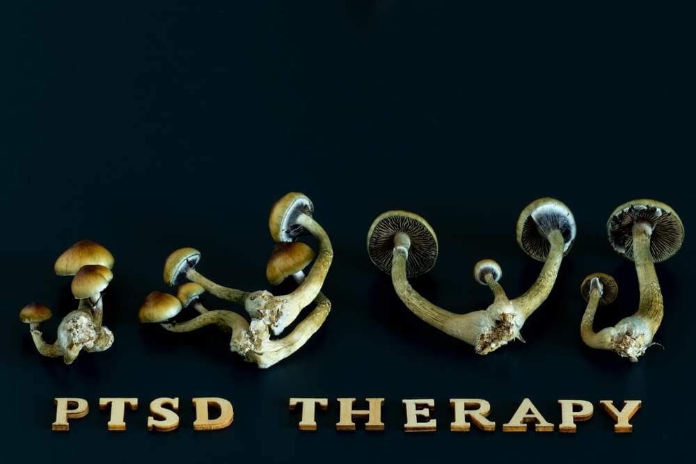 ptsd can be treated with ptsd therapy with psychologist with PTSD counseling