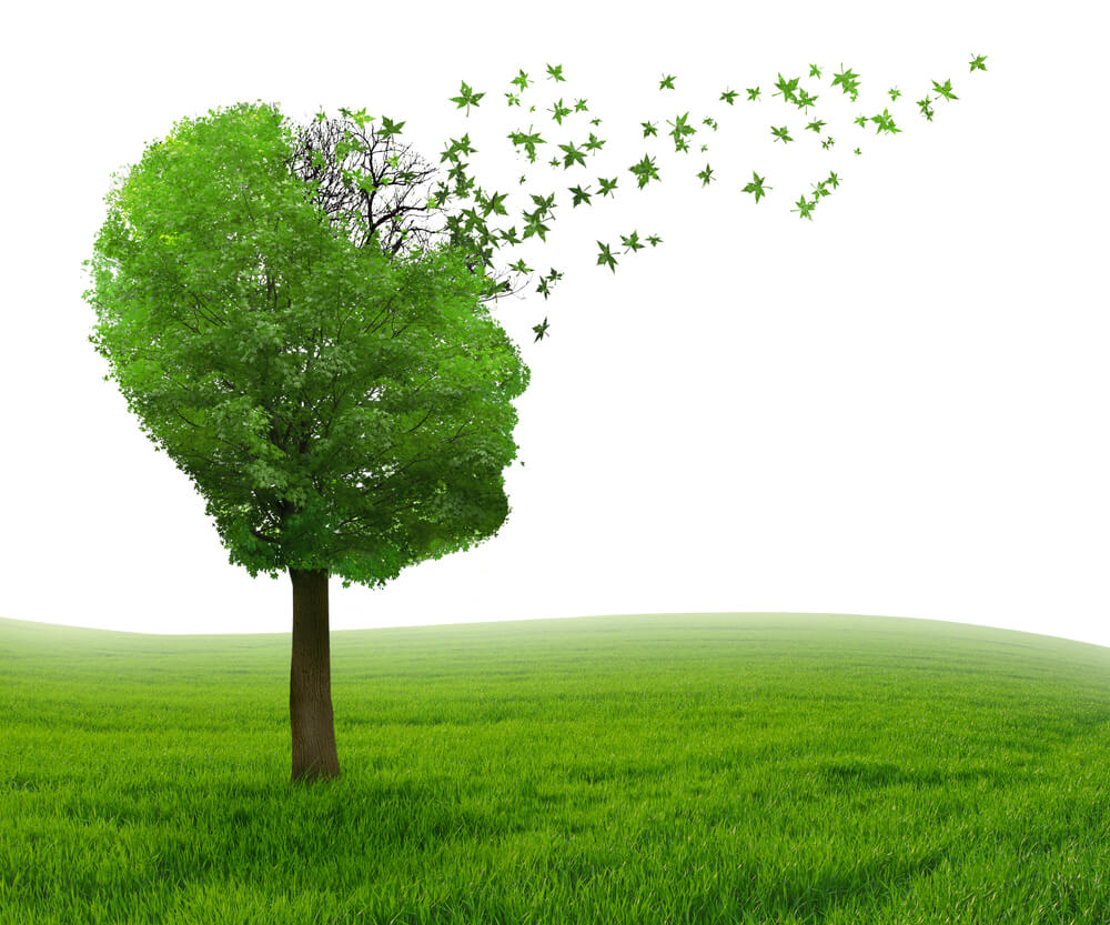 Illustration representing memory loss, a common symptom of Lewy body dementia