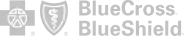 Blue Cross Blue Shield logo